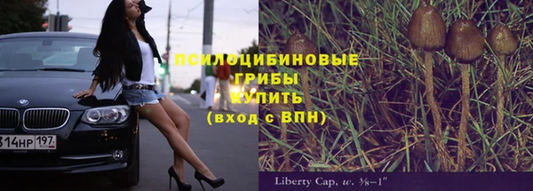 прущие крисы Михайлов