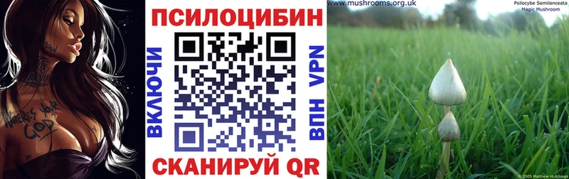 где найти кракен зеркало Псилоцибиновые грибы GOLDEN TEACHER Мантурово